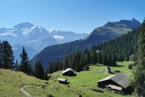 Sulwald - Grütschalp