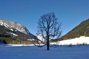 Schneeschuhtour Kiental - Tschingelsee