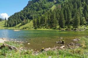 Talalpsee