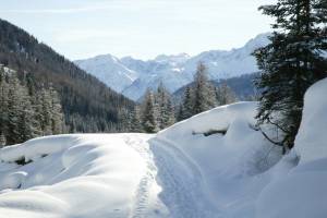 Winterwanderung Vnà - Zuort