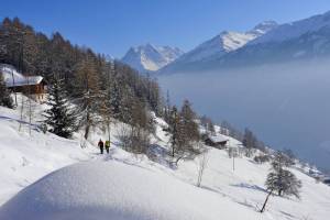 Schneeschuhwanderung Suen - Eison