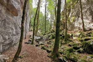 Abstieg zum Saut du Doubs