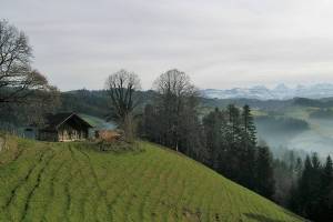 Wanderung Langnau - Ober Frittenbach