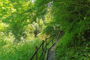 Canal d'Entreroches