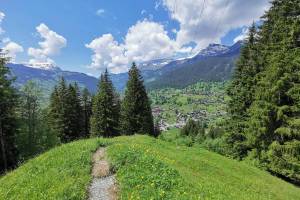 Grindelwald Pfingstegg