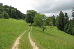 Wanderung Bärschwil - Regenass - Erschwil