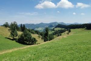 Wanderung Beinwil - Hohe Winde - Passwang