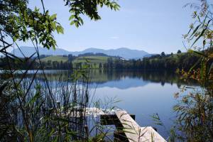 Soppensee