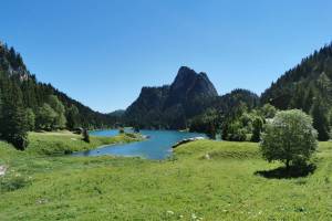 Wanderung Miex - Lac de Taney