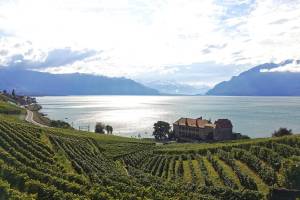 Terrasses de Lavaux