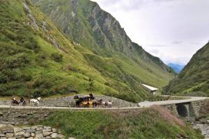 Gotthardpass Tremola Postkutsche