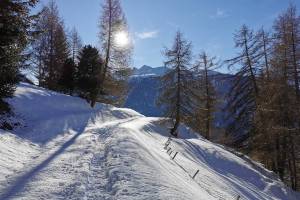 Schneeschuhwanderung Suen - Eison