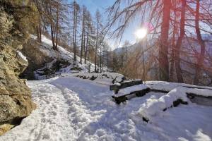 Schneeschuhwanderung Suen - Eison