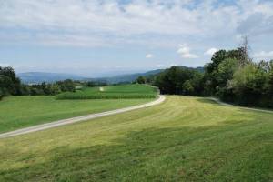 Wanderung Albispass - Uetliberg