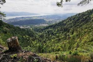 Uetliberg Fallätsche